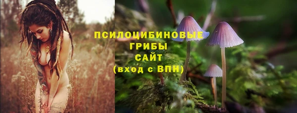 прущая мука Армянск
