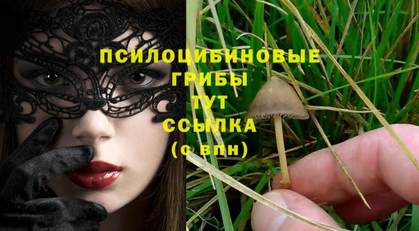 метамфетамин Аркадак