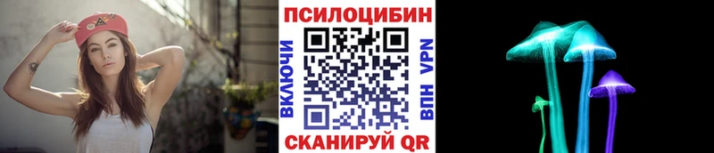 mega tor  дарнет шоп  Тайшет  Галлюциногенные грибы мицелий 